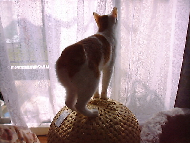 DSC00021
