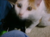 DSC00062