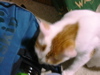 DSC00063