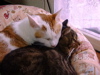 DSC00031