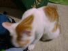 DSC00064