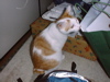 DSC00066