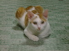 DSC00068