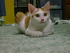 DSC00069