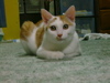 DSC00070