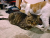 DSC00071