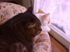 DSC00030